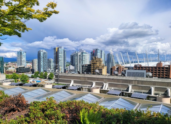 Green roof and cool roof comparison showing different approaches to reducing urban heat