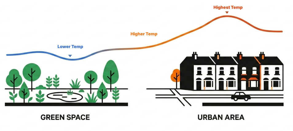 Urban Heat Island effect cross-section diagram